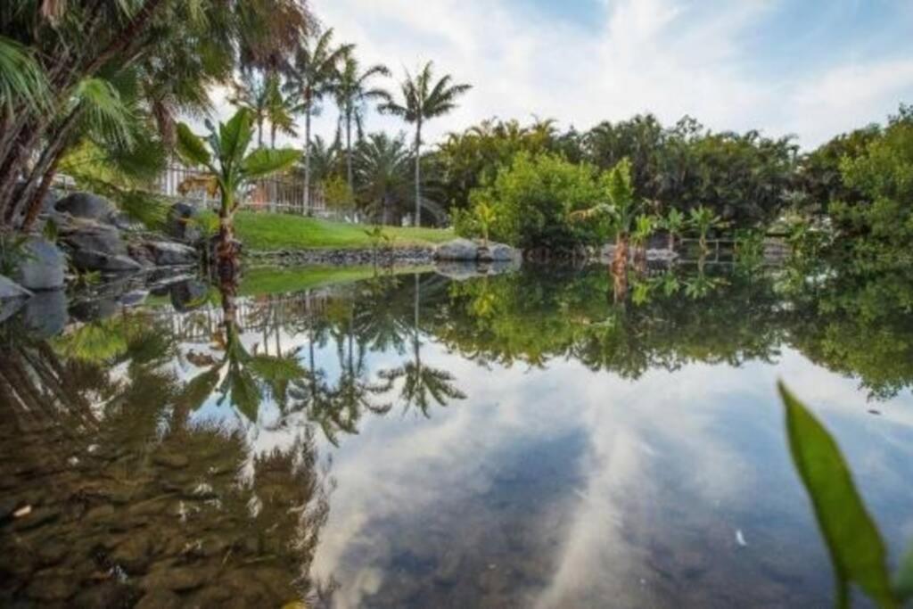 Apartamento Bien Situado - Buenas Conexiones Santa Cruz de Tenerife Zewnętrze zdjęcie