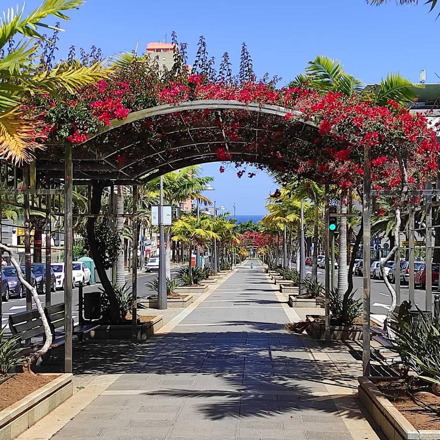 Apartamento Bien Situado - Buenas Conexiones Santa Cruz de Tenerife Zewnętrze zdjęcie